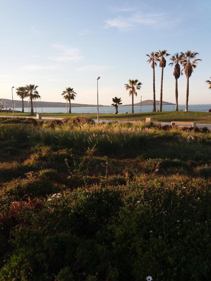 Apartment Nador Rif Εξωτερικό φωτογραφία